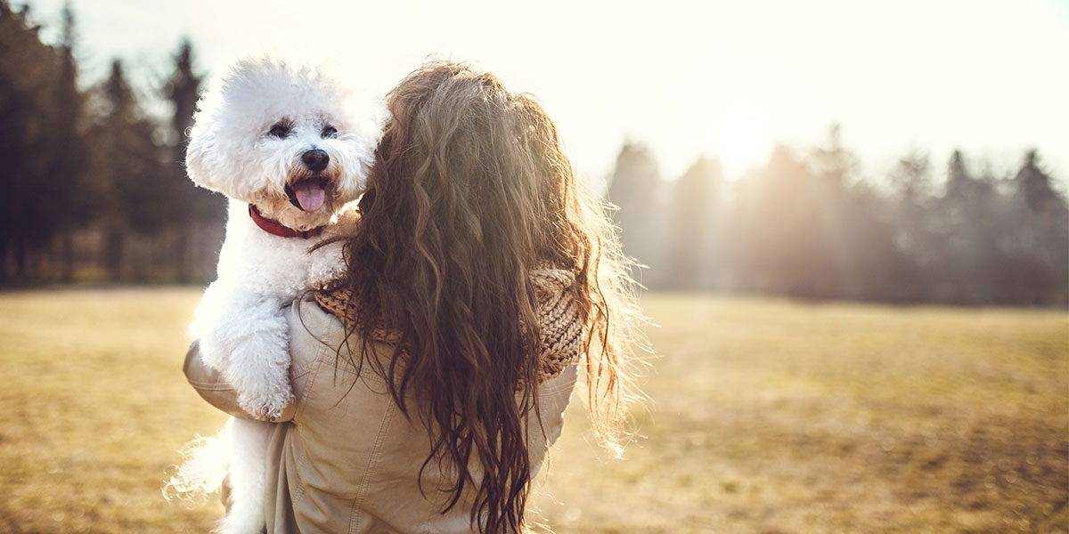 Do Pet Owners Live Longer? Sun Life